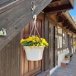 Altstadtflair - Efeu *