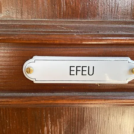 Altstadtflair - Efeu شقة لوبنو